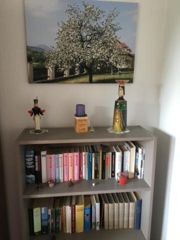 Ferienwohnung Graupner Schwarzenberg  Esterno foto